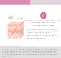 Collagen Better Lab