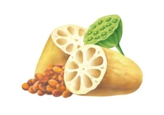 Hồng Sâm Củ Sen