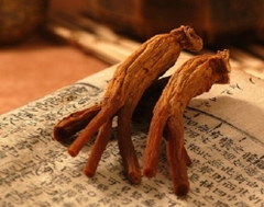 Kẹo Dẻo Hồng Sâm