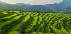 23 days - Complete Vietnam Tour