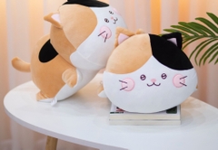 Mèo tam thể nằm 35cm