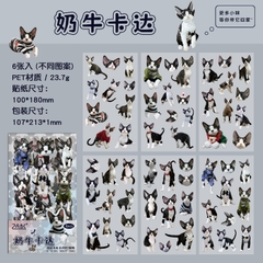 Bộ sticker chống nước hình các giống mèo