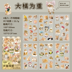Bộ sticker chống nước hình các giống mèo
