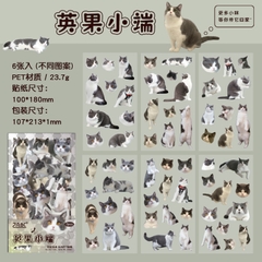 Bộ sticker chống nước hình các giống mèo