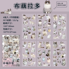 Bộ sticker chống nước hình các giống mèo