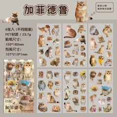 Bộ sticker chống nước hình các giống mèo