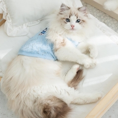 Áo ba lỗ cho thú cưng chó mèo dễ thương vàng xanh dương xanh lá thoáng khí chất liệu đẹp