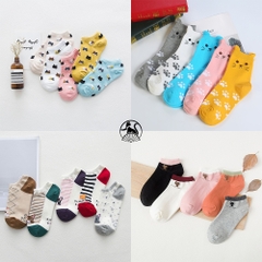Vớ Tất Cotton Cổ Ngắn Hình Mèo Kute Đáng Yêu Ngộ Nghĩnh – Phụ Kiện Thời Trang Quà Tặng Độc Đáo