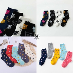 Vớ Tất Cổ Cao Chất Liệu Cotton Nữ Hình Mặt Mèo Dễ Thương Phong Cách Hàn Quốc Nhật Bản 4 Mùa