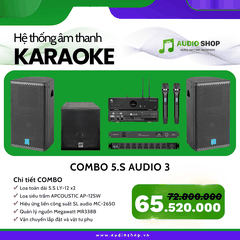 Combo Karaoke 5.S Audio 03