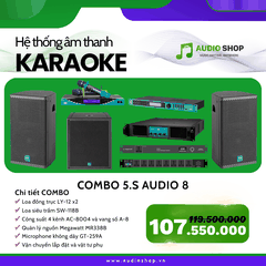 Combo Karaoke 5.S Audio 08