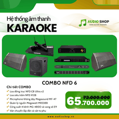 Combo Karaoke NFD 06
