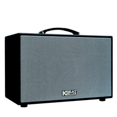 Loa Karaoke mini xách tay ACNOS CS250SON