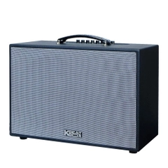 Loa Karaoke Mini xách tay ACNOS CS251PU