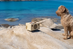 AUDIO PRO T3+ PETER EUGÉN