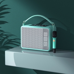Loa bluetooth karaoke di động BBS P6 - Kèm 2 tay micro