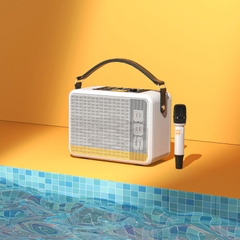 Loa bluetooth karaoke di động BBS P6 - Kèm 2 tay micro
