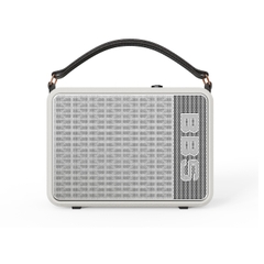 Loa bluetooth karaoke di động BBS P6 - Kèm 2 tay micro