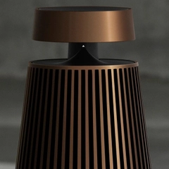 Loa bluetooth B&O BeoSound 2