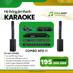 Combo Karaoke NFD 11