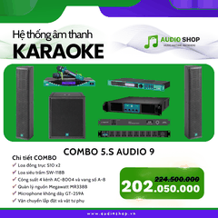 Combo Karaoke 5.S Audio 09