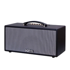 Loa Karaoke Mini xách tay ACNOS KS363V