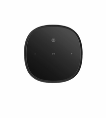 Loa Bluetooth Không Dây B&W Formation Flex
