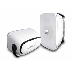 Loa Quán Cà Phê Loa Audiofrog AW25