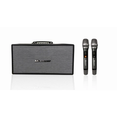 Loa Karaoke Di Động MK 216D