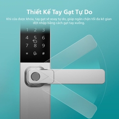 Khóa Cửa Vân Tay Philips DDL615-5HBS