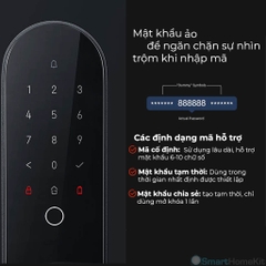 Khóa Aqara N100