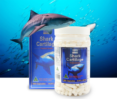 Sụn vi cá mập Blue Sharp Cartilage 750mg 365 viên