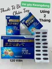 Viên Uống Lưu Thông Máu Chống Tê Bì Tay Chân Kwangdong Hàn Quốc 120 viên