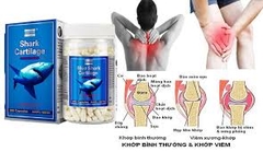 Sụn vi cá mập Blue Sharp Cartilage 750mg 365 viên