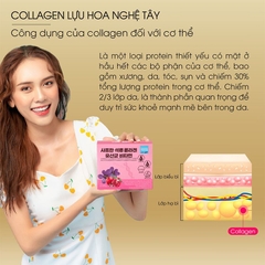 Collagen Lựu Đỏ + Nhụy Hoa Nghệ Tây Hàn Quốc 60gr 30 gói
