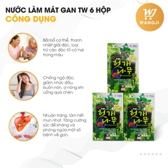 Nước Mát Gan Hàn Quốc Taewoong Food , Bổ Gan Hovenia Hộp 30 Gói 70ml/gói - Wangji