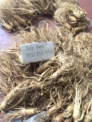 Sâm tươi Hàn Quốc cỡ 5 củ/kg loại VIP