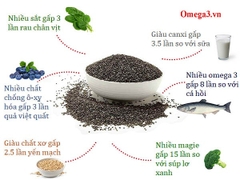 Hạt Chia hữu cơ Novanuts nhập khẩu Ấn Độ 500g