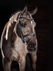 CƯƠNG NGỰA LEMIEUX - ARIKA FLASH BRIDLE BLACK