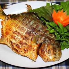 Cá chim trắng