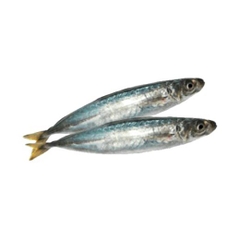 Cá nục