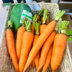 Cà rốt hưu cơ