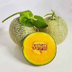 Dưa lưới