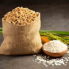 Gạo nếp trắng
