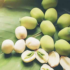Hạt sen tươi