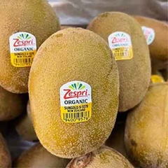 Kiwi vàng Zespri