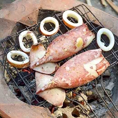 Mực ống Mùa