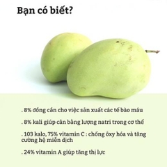 Xoài tứ quý