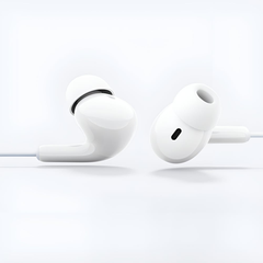 Tai nghe Xiaomi Type-C Earphones M2413E1