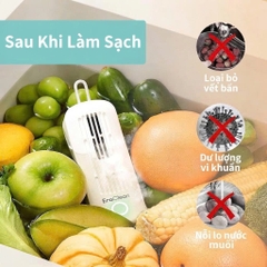 Máy rửa rau củ quả, thực phẩm mini Eraclean GFC11